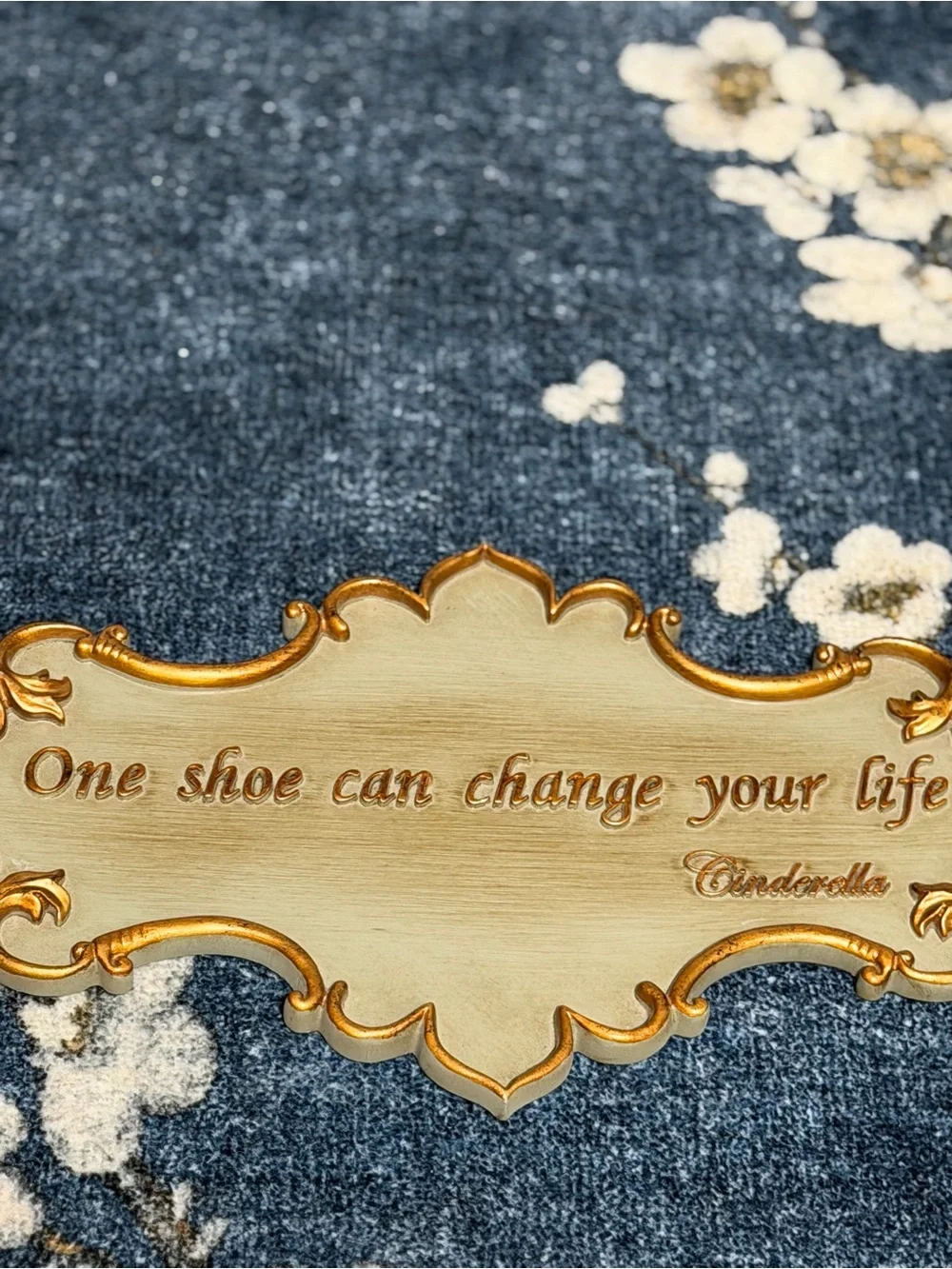 Disney Cinderella “One Shoe Can Change Your Life” 16